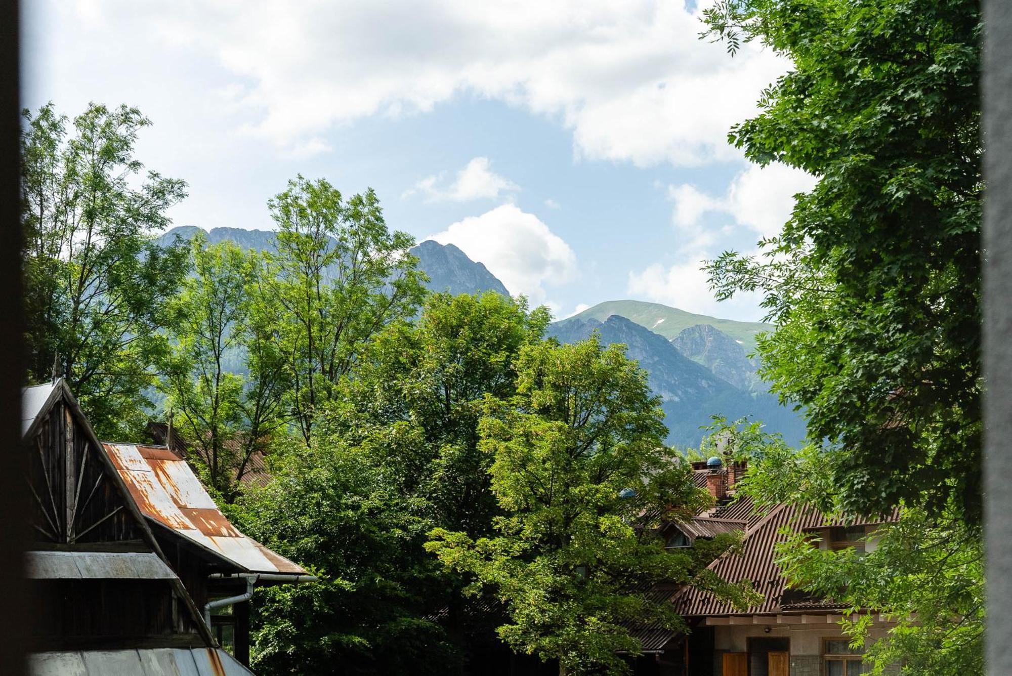 Villa Monte Zakopane Bagian luar foto